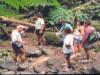 Trekking