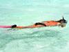 Snorkelling
