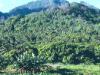 Trekkers Paradise