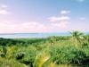 An Island Landscape